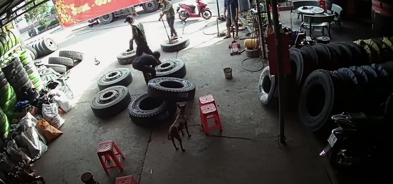 Hưỡng dẫn chọn lốp xe ô tô tốt nhất - năm 2024